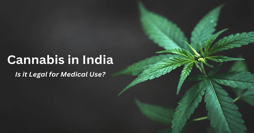 Cannabis in India: Is it Legal for Medical Use?