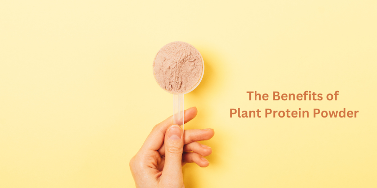 The Benefits of Plant Protein Powder