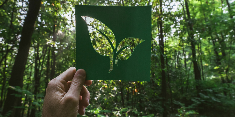 Hemp-Based Packaging: An Eco-Friendly Alternative