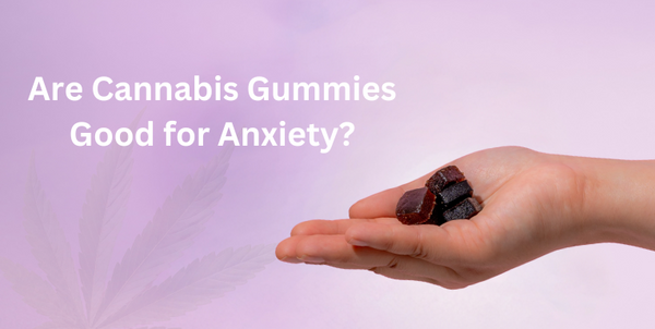 Are Cannabis Gummies Good for Anxiety?