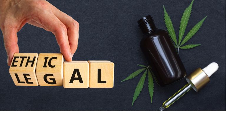 CBD Oil is legal in India? - Discover the Legality of CBD Oil