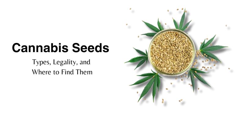 Cannabis Seeds in India: Types, Legality, and Where to Find Them