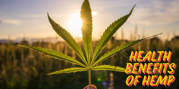 The Health Benefits of Hemp: A Complete Guide