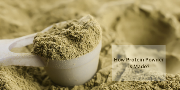 How Protein Powder is Made: A Simple Guide