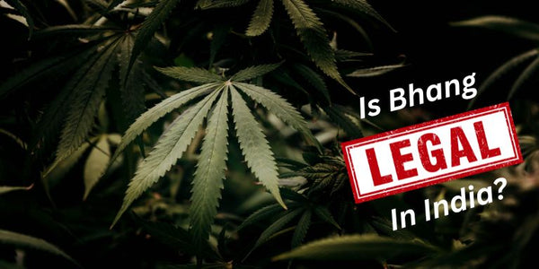 Is Bhang Legal in India?