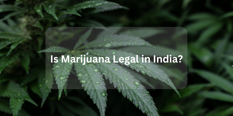 Is Marijuana Legal in India?