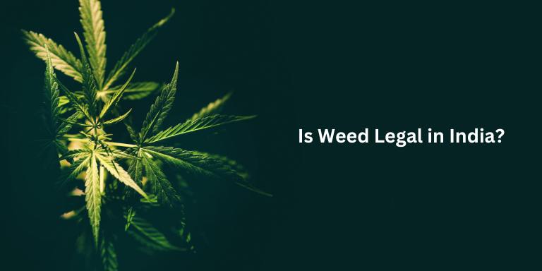 is-weed-legal-in-india-law-future-possibilities-the-trost