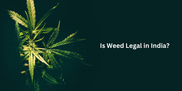 Is Weed Legal in India?