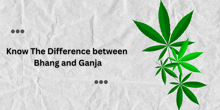 Bhang vs. Ganja: Differences, Effects, and Health Impacts