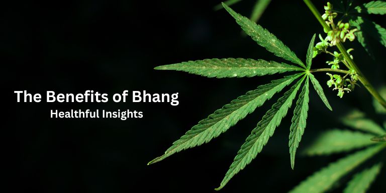 The Benefits of Bhang: Healthful Insights