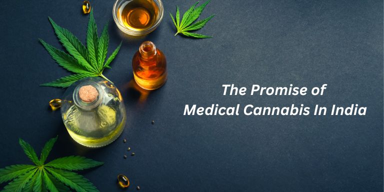 The Promise Of Medical Cannabis In India