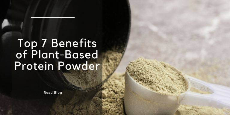 Using Based Powder 7 Benefits of Plant-Based Protein Powder– The Trost