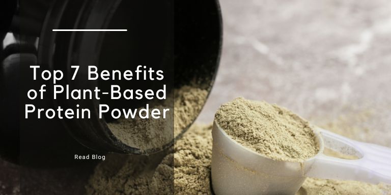 7 Benefits of Plant-Based Protein Powder