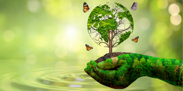 Why Hemp Is a Game-Changer for the Environment