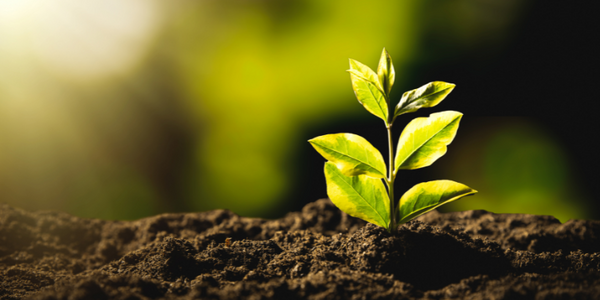 5 Ways Hemp is Helping India’s Sustainability Movement