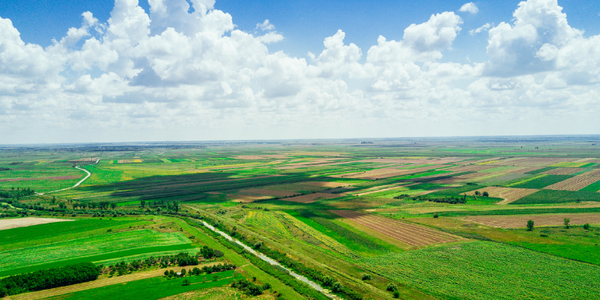 How Hemp Farming is Transforming Rural Economies in India