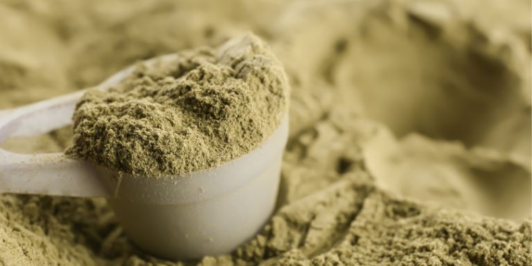 Why Is Hemp Protein Powder Good for You?