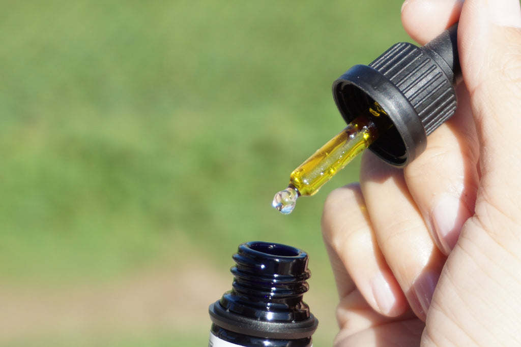 8 Benefits of Using Hemp Seed Oil