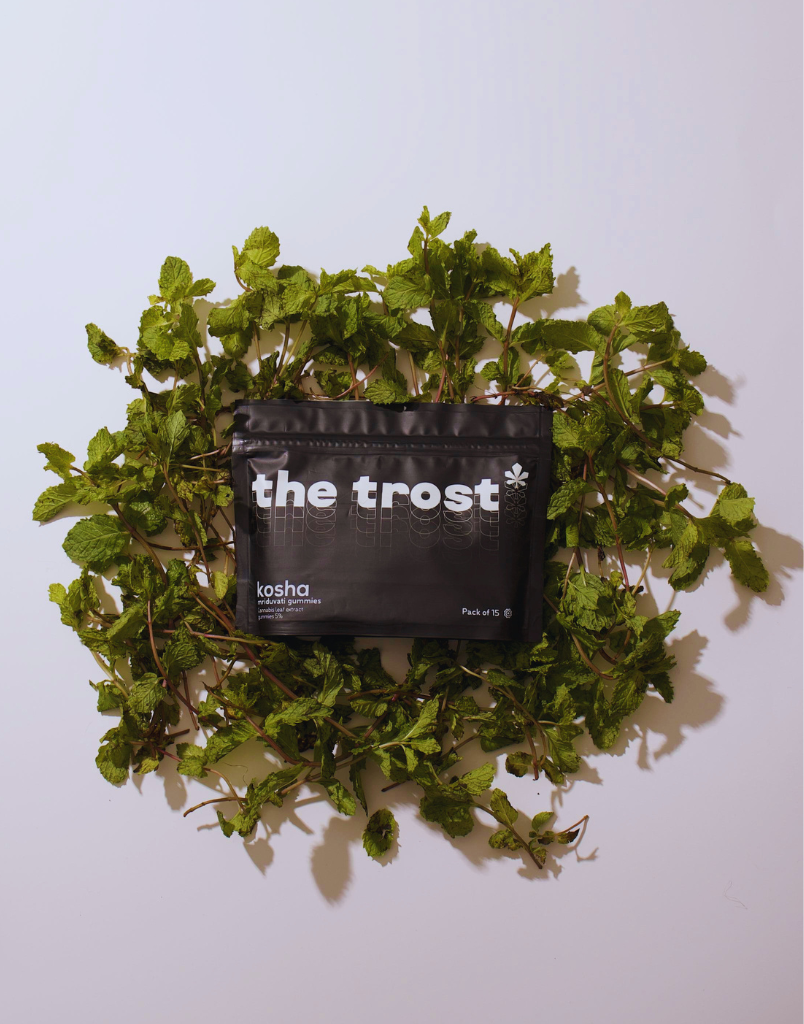 The Trost Kosha  Mint Flavor Cannabis Gummies Mriduvati Packet of 15 QTY