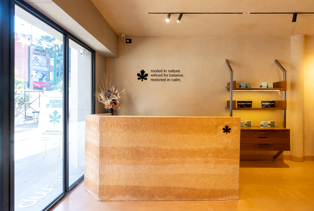 The Franchise Opportunity